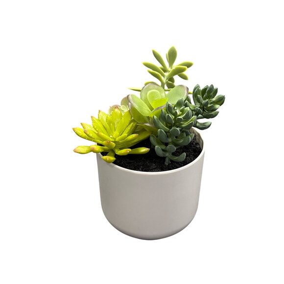 Threshold Artificial Succulent Plants In White Ceramic Pot For Home & Office Dec - Picture 1 of 3